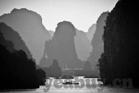 成人免费视频播放社区-成人内容平台的双刃剑，探索与界限