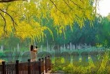 麻豆视频下载安装app-